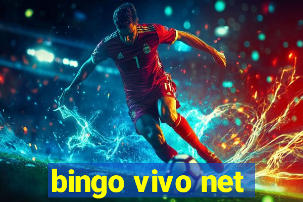 bingo vivo net