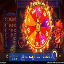 bingo pela loteria federal