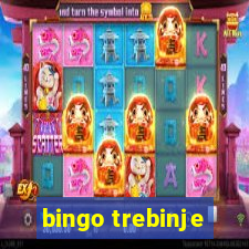 bingo trebinje