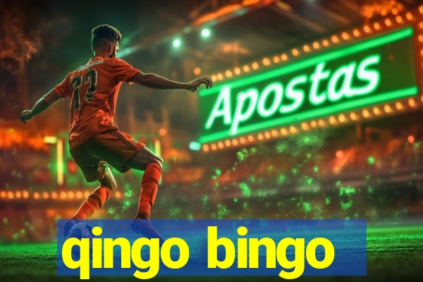 qingo bingo