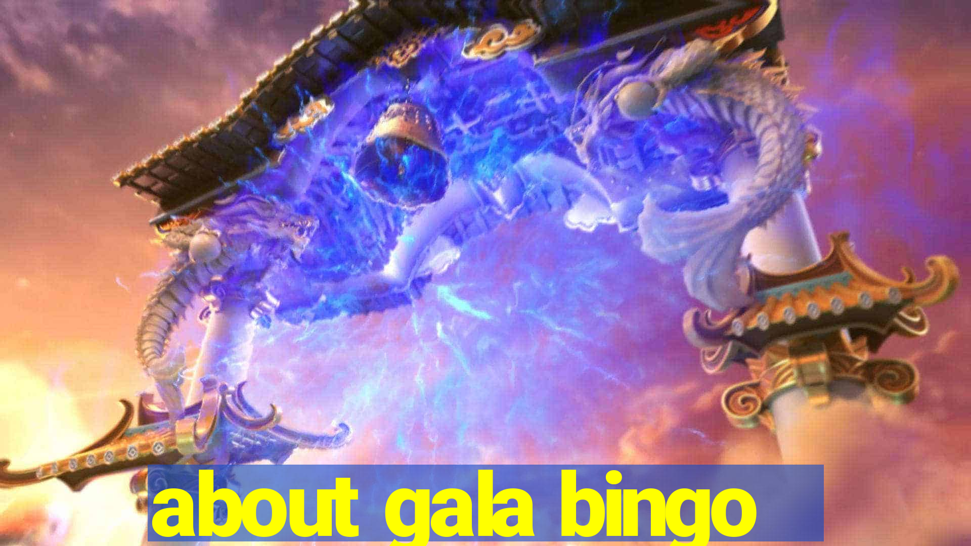 about gala bingo