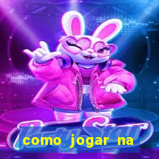 como jogar na lotinha do jogo do bicho