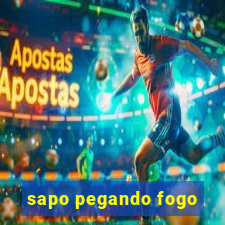 sapo pegando fogo