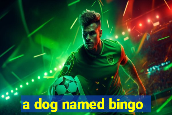 a dog named bingo