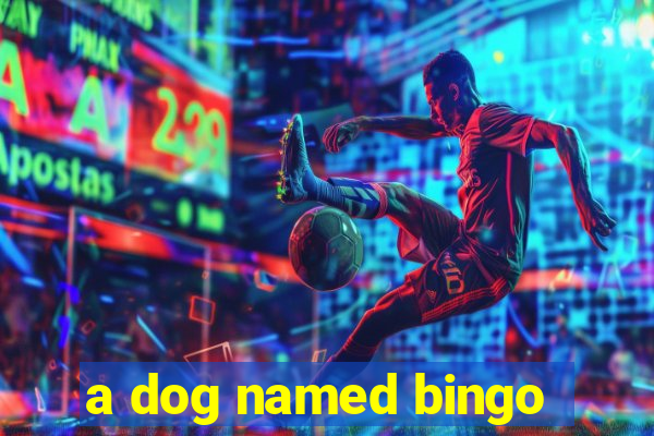 a dog named bingo