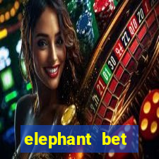 elephant bet aviator login