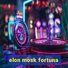 elon mosk fortuna