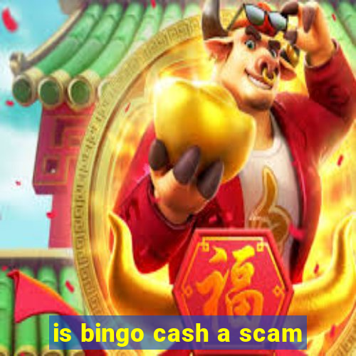 is bingo cash a scam