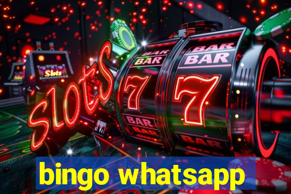 bingo whatsapp