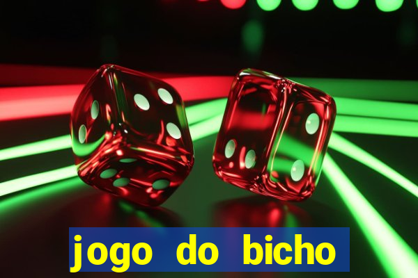 jogo do bicho crash bingo