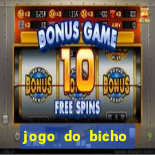 jogo do bicho crash bingo