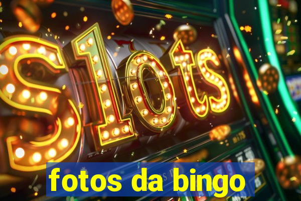 fotos da bingo