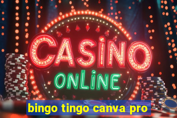 bingo tingo canva pro