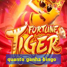 quanto ganha bingo