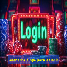 cachorro bingo para colorir