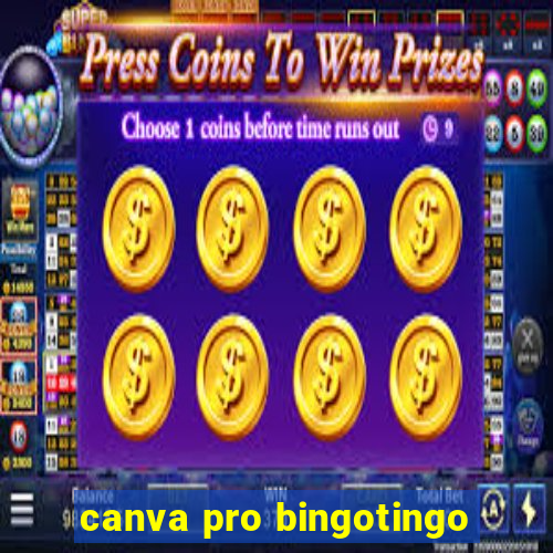 canva pro bingotingo