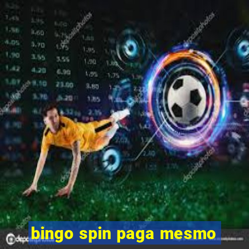 bingo spin paga mesmo