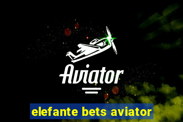 elefante bets aviator