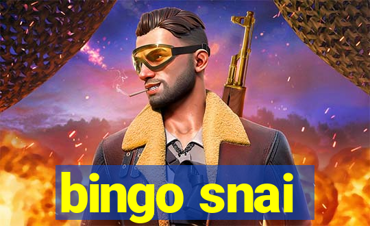 bingo snai