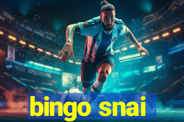 bingo snai