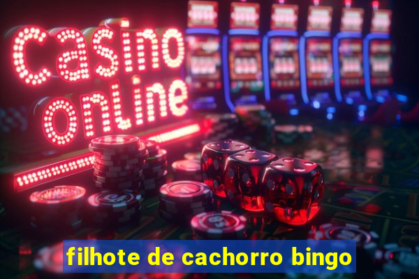 filhote de cachorro bingo