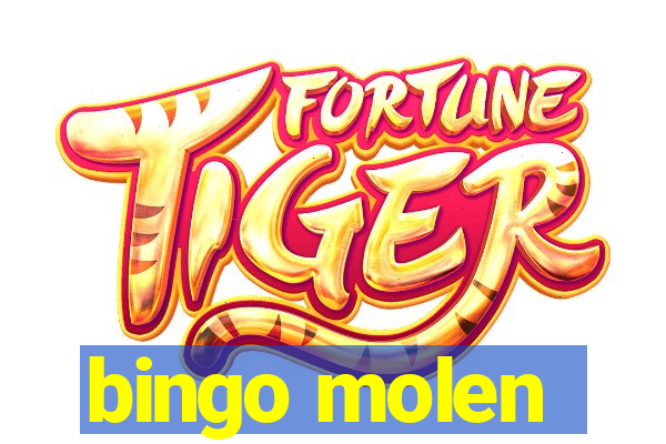 bingo molen