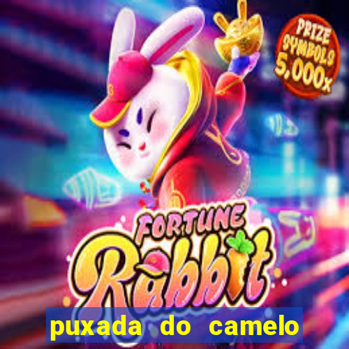 puxada do camelo jogo do bicho